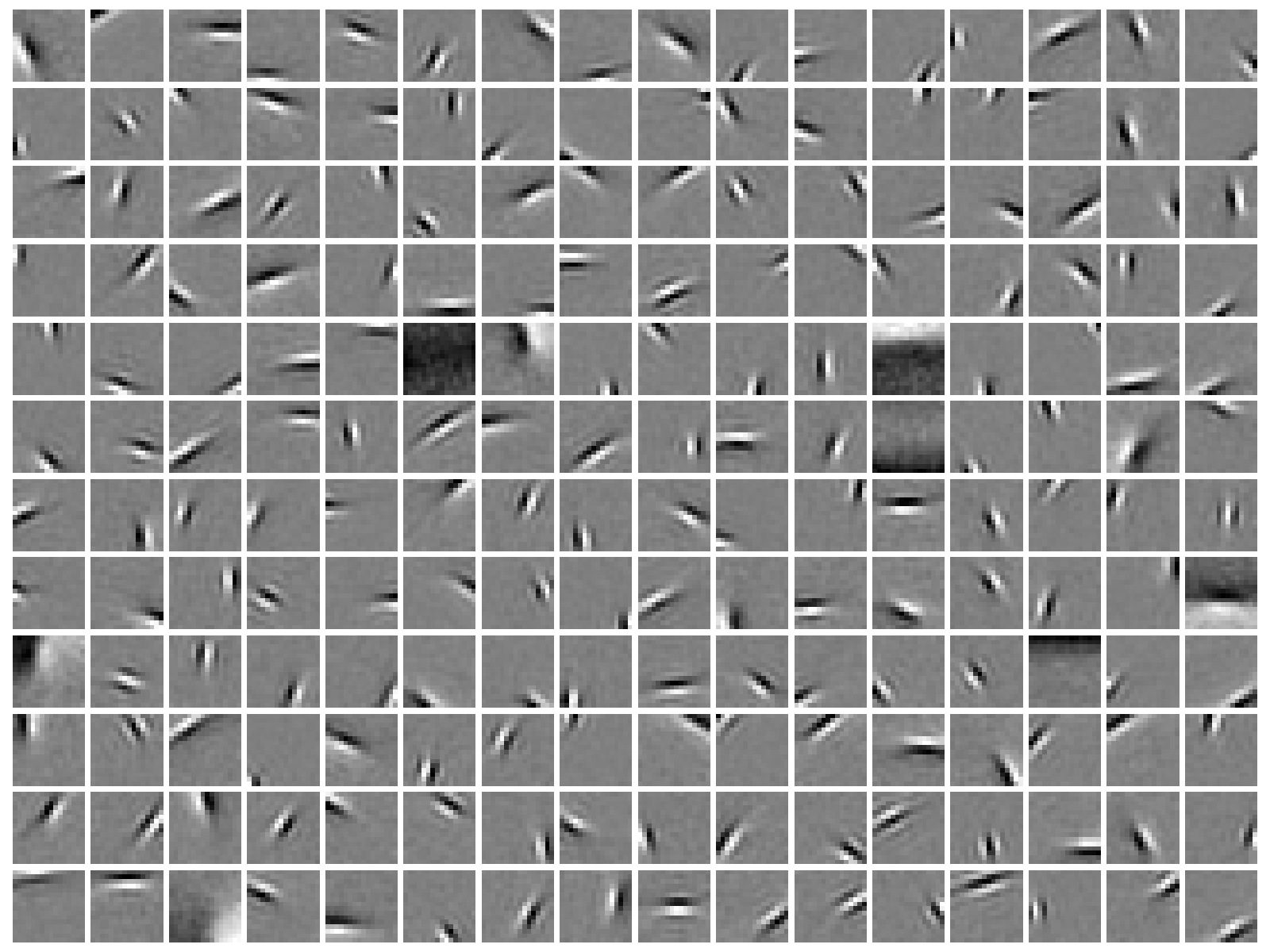 自然画像のスパース符号化で学習された基底関数