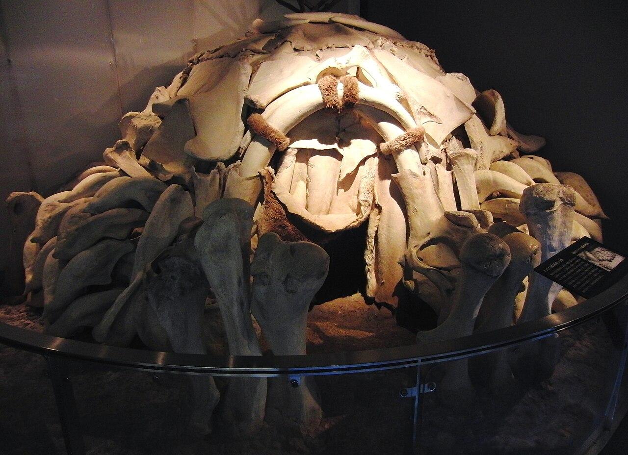 マンモスの骨でつくられた住居の復元(メジリチの例に基づく、国立科学博物館・東京)
